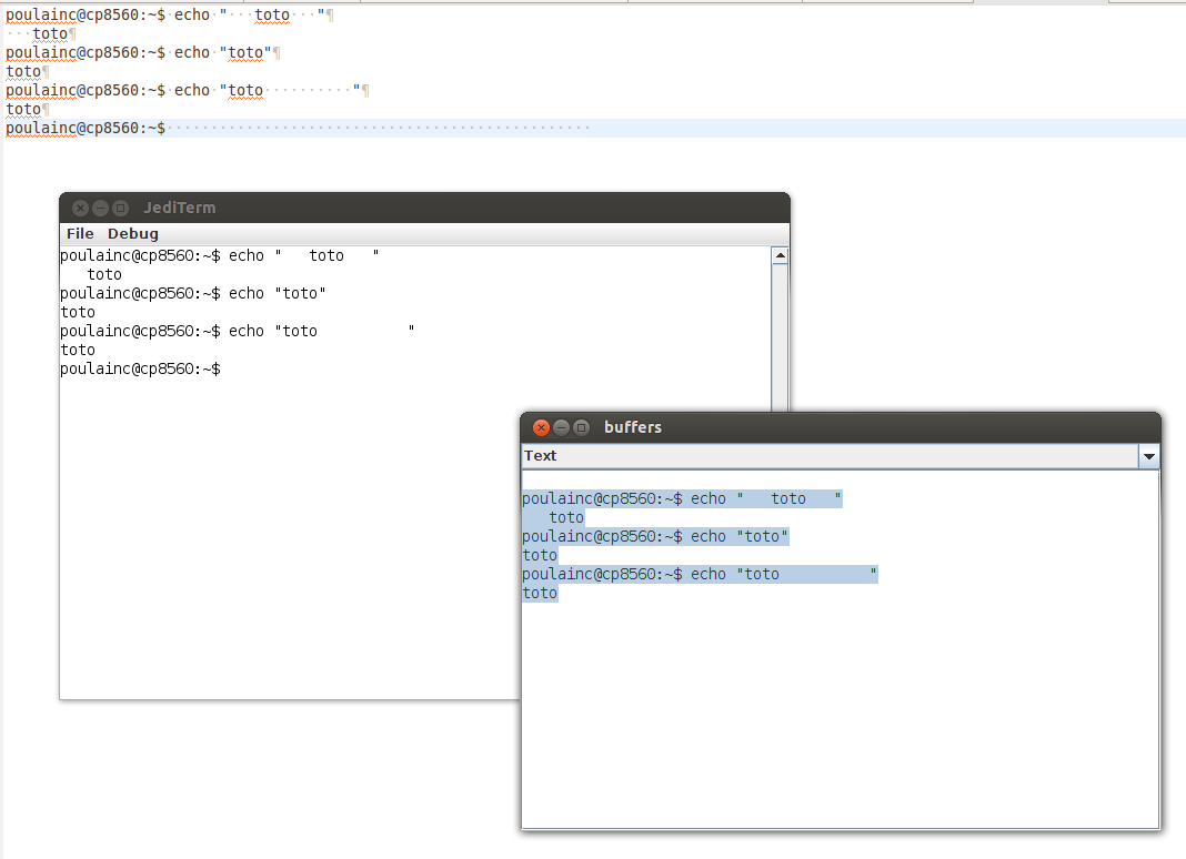 jediterm_selection_spaces