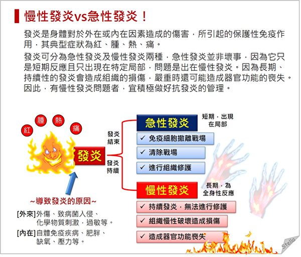 急性发炎和慢性发炎不同，慢性发炎是一种长期、全身性的反应，会造成身体损伤。（Stella营养师提供）