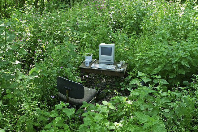 a computer in the shrubbery