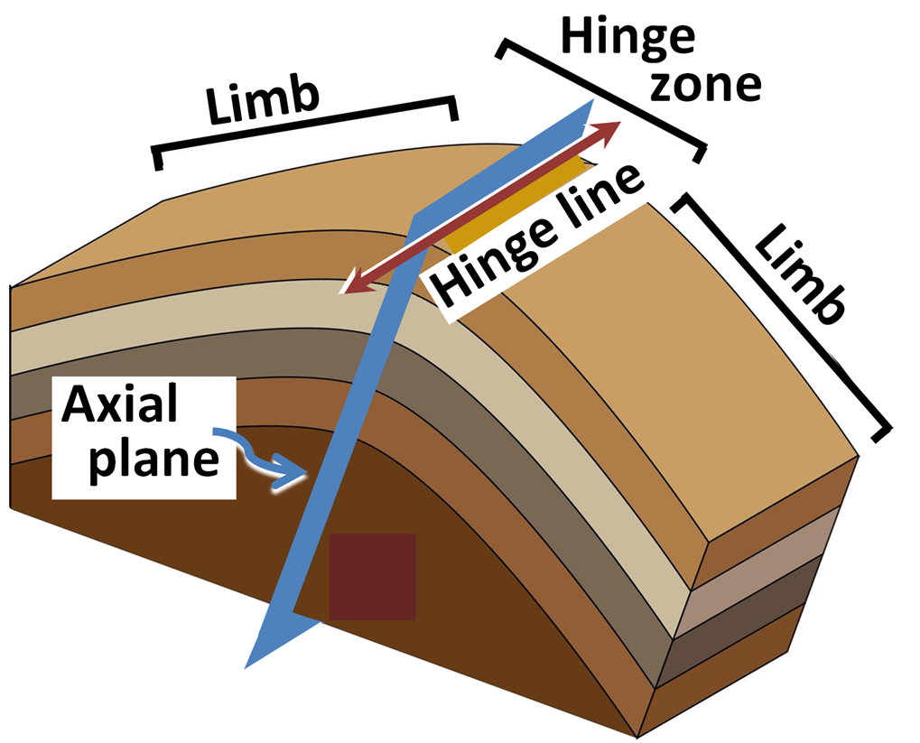 Flank & hinge.PNG