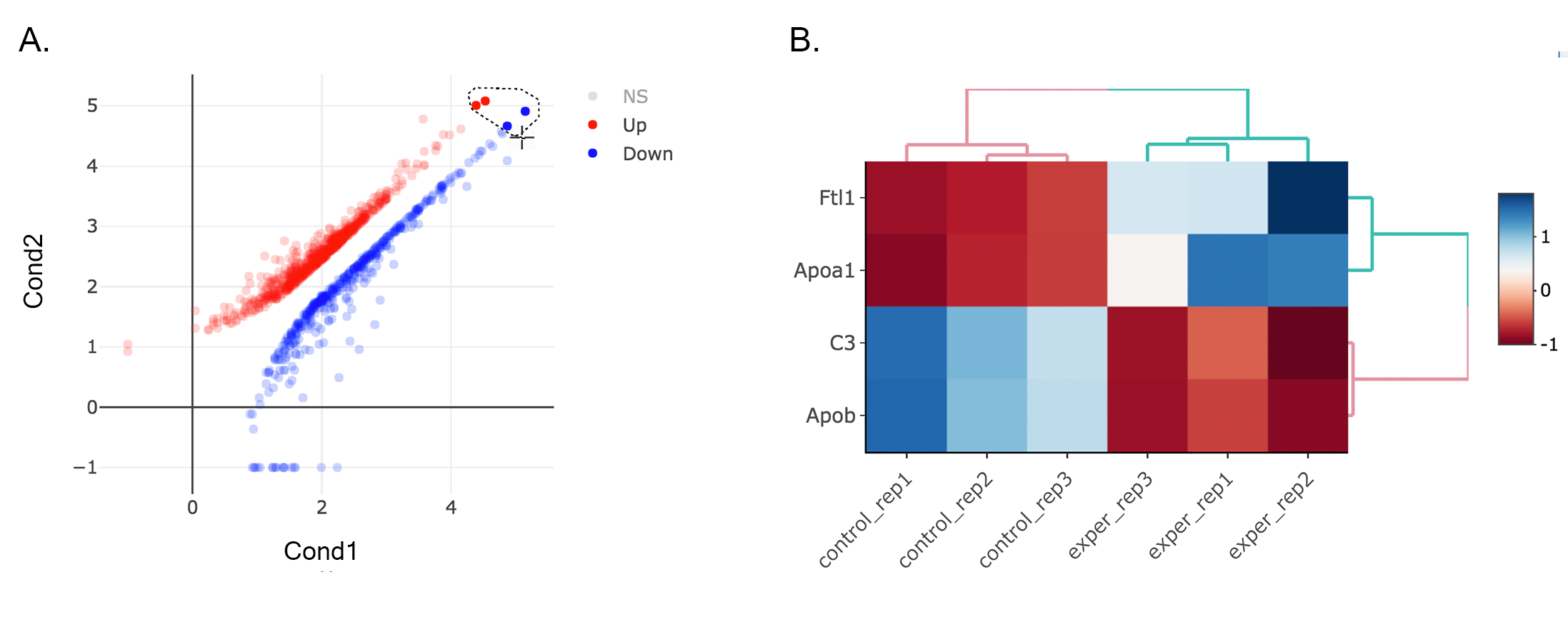 Figure 48. example scatter lasso heatmap