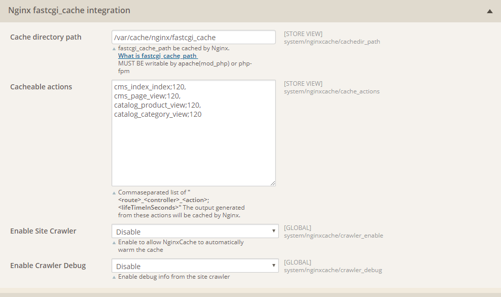 nginx cache system config magento