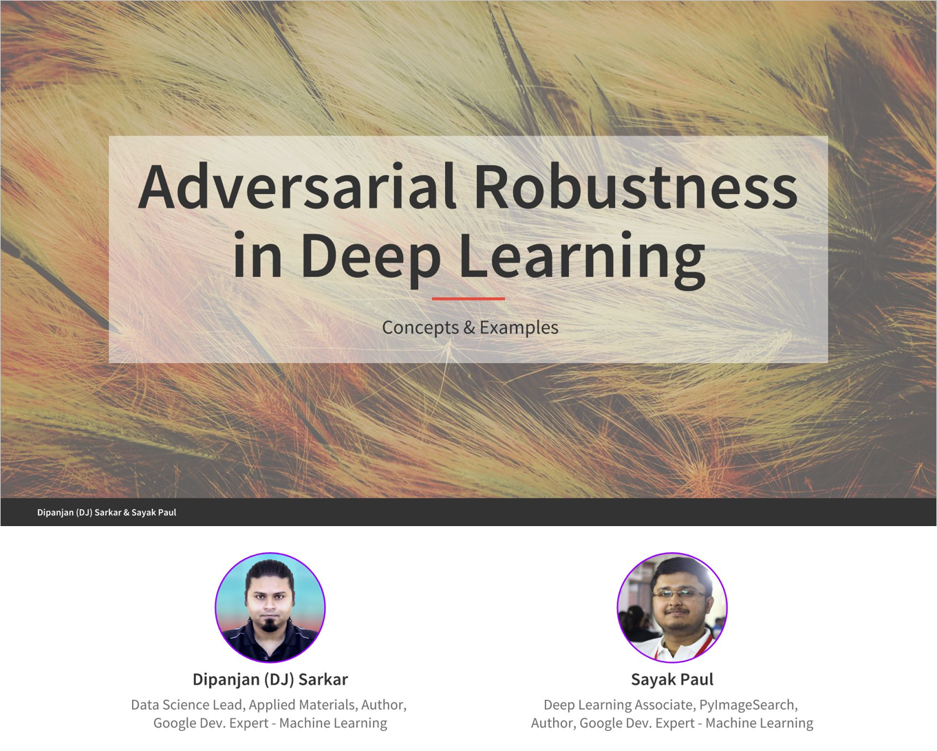GitHub - dipanjanS/adversarial-learning-robustness: Contains materials ...