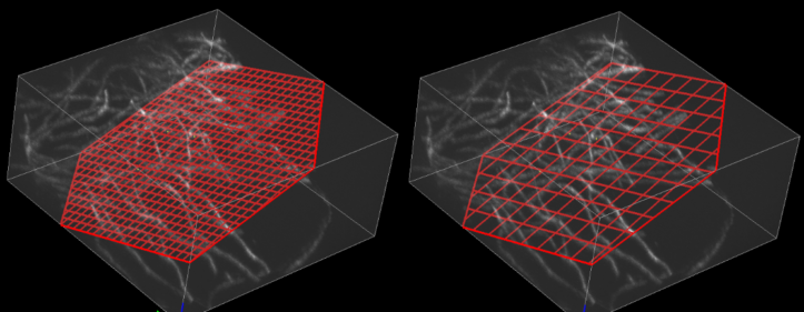 cross-section grid step