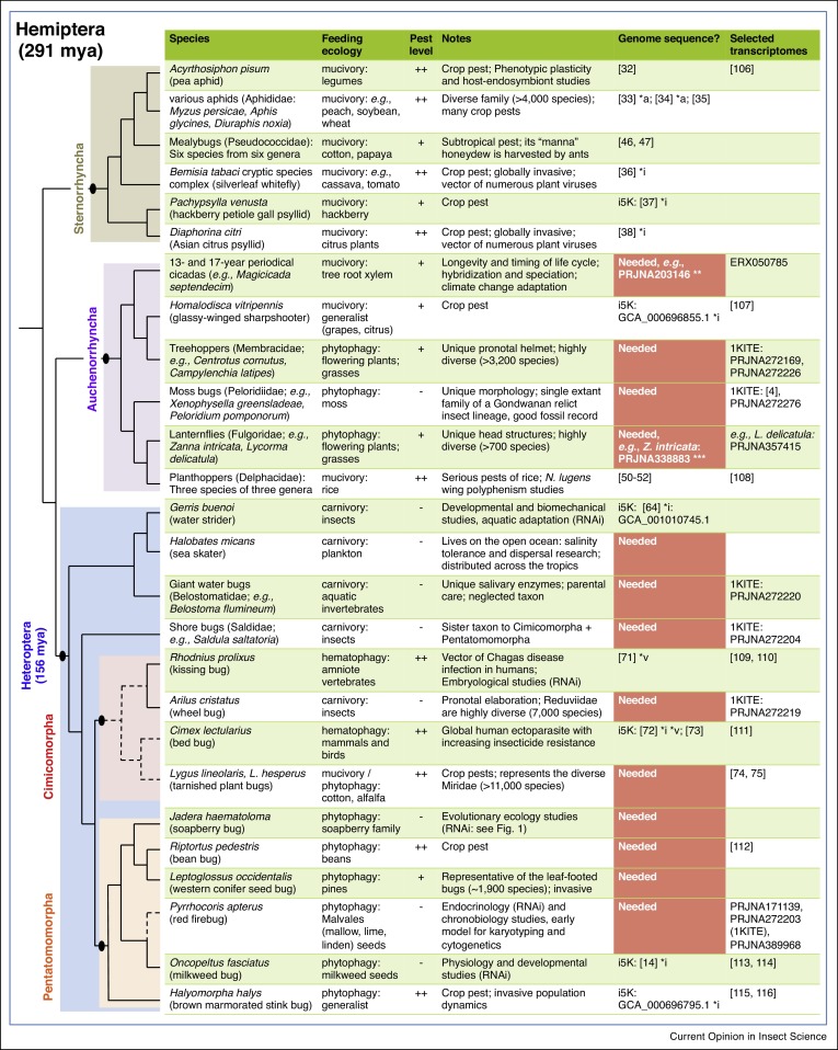 Genomeic resources for Hemiptera and their relationships