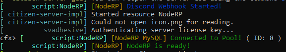 NodeRP Usual Startup Messages