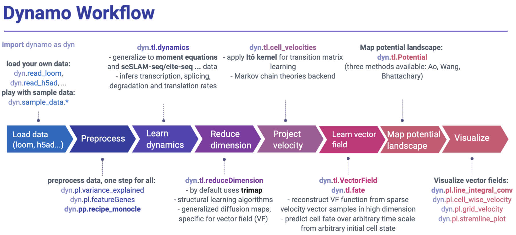 dynamo_workflow