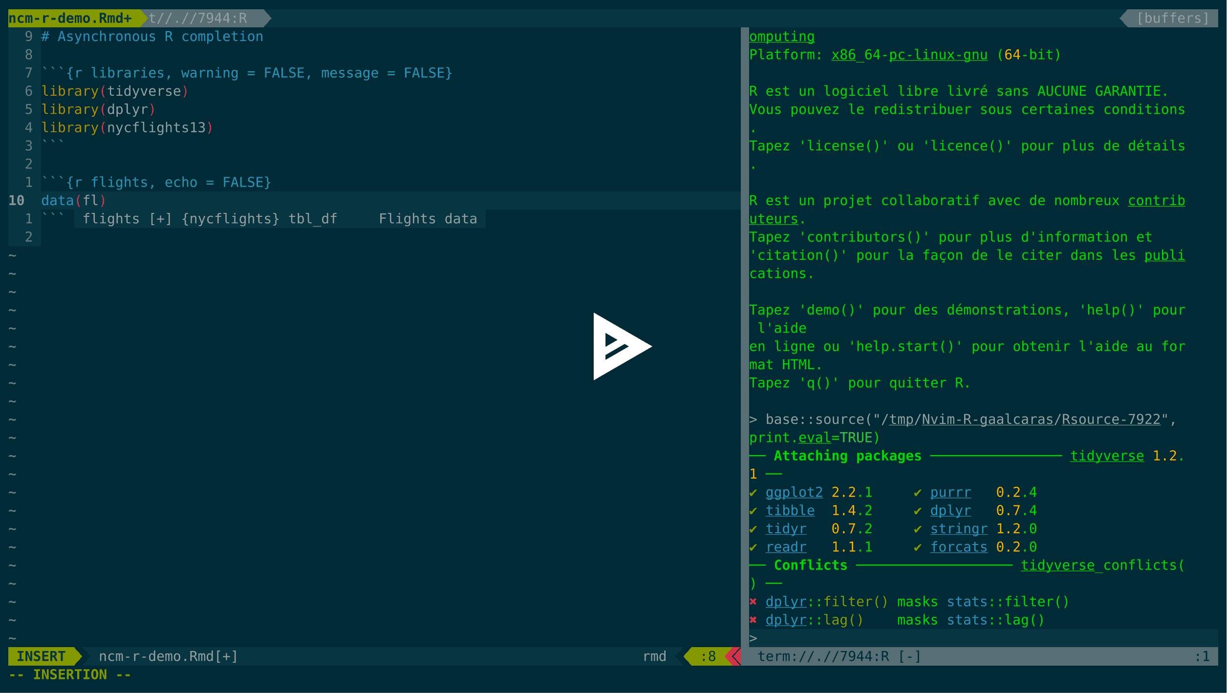 R completion for Neovim and vim 8 with ncm-R