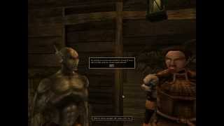 i replaced every sound in morrowind with the tim allen grunt