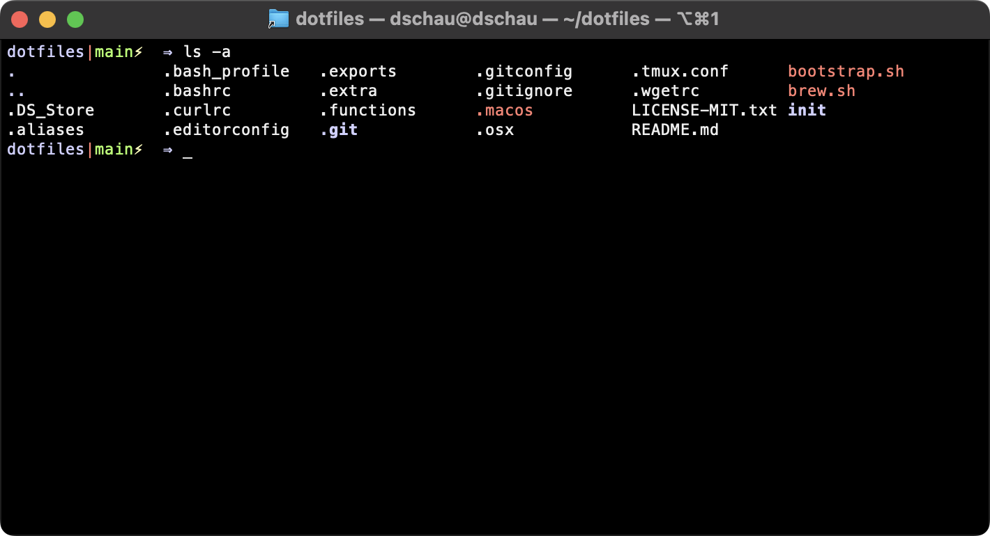 Screenshot of my shell prompt