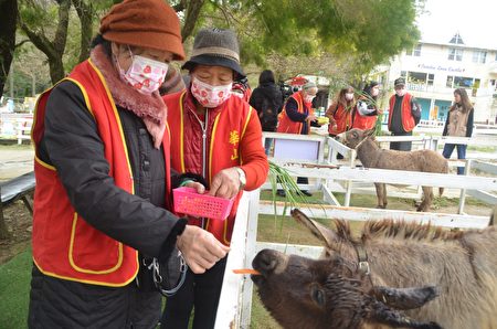 草泥马、笑笑羊等可爱动物也热情与老宝贝们亲密互动。