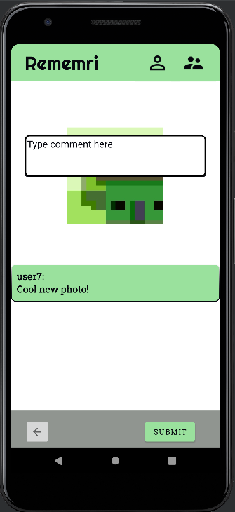 Pin Comment