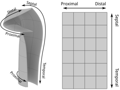 3d to 2d translation