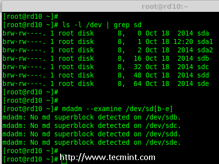 Verify 4 Added Disks