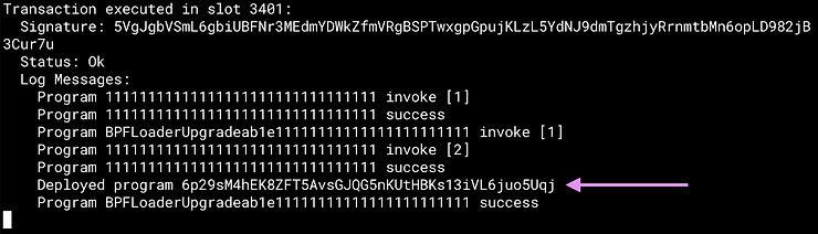 solana program deploy visible in the logs