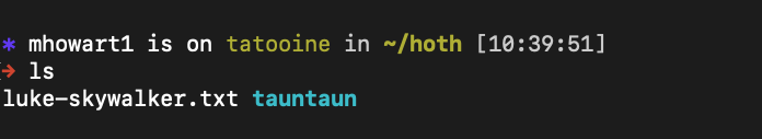 Screen Shot of terminal after running the "ls" command, showing the file "luke-skywalker.txt" and the directory "tauntaun"