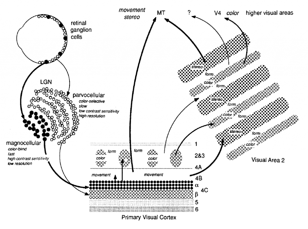 Overall Pathways