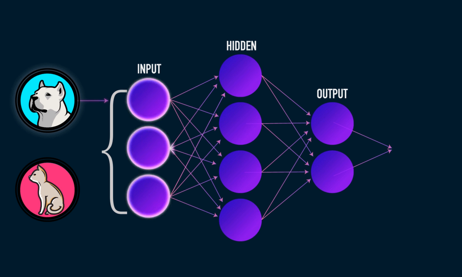 NeuralNetwork