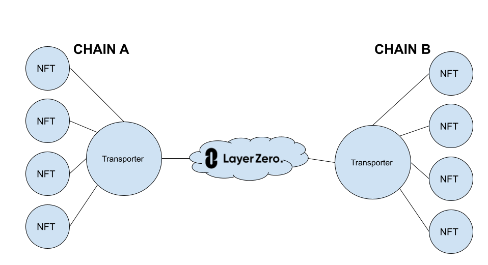 TR8 Transporters