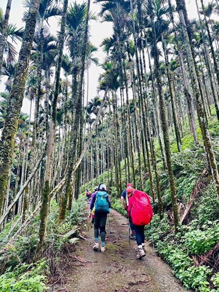 “雨后头纵走”路线长约12.30公里，爬升高度达869.48公尺，下降高度为664.20公尺。