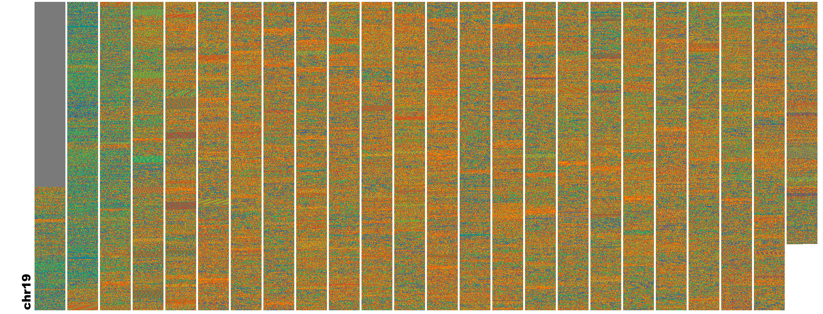 Example FluentDNA output of Human Chr19 2MBp