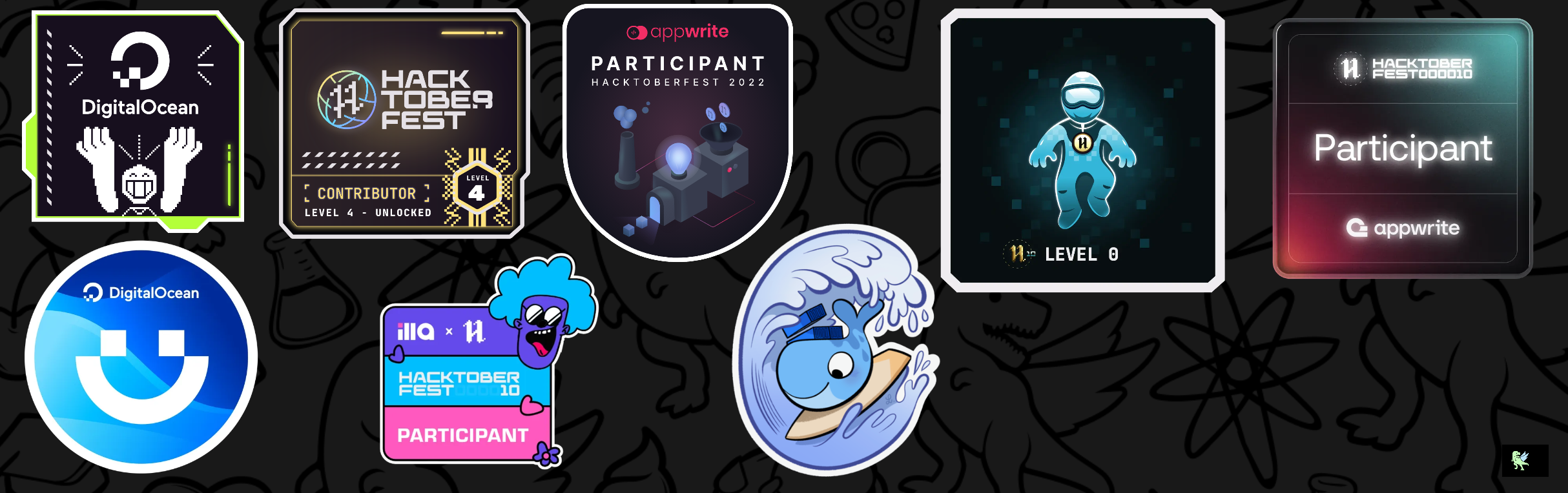 @nirvik07's Holopin board