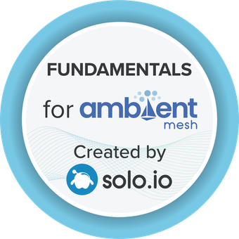 Fundamentals for Istio Ambient Mesh