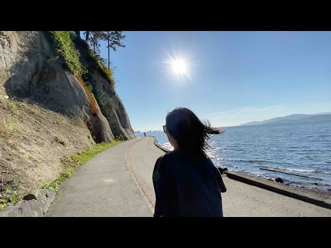 Shippabo company culture video