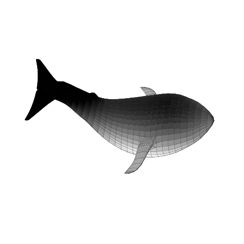 whale.png