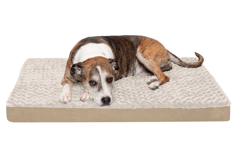 furhaven-ultra-plush-deluxe-orthopedic-pet-bed-cream-large-1