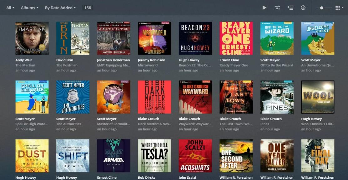 Plex Library View