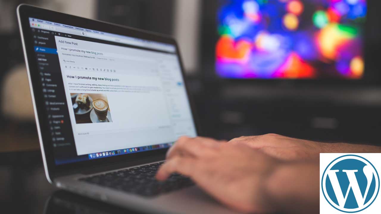 Ataciara Web