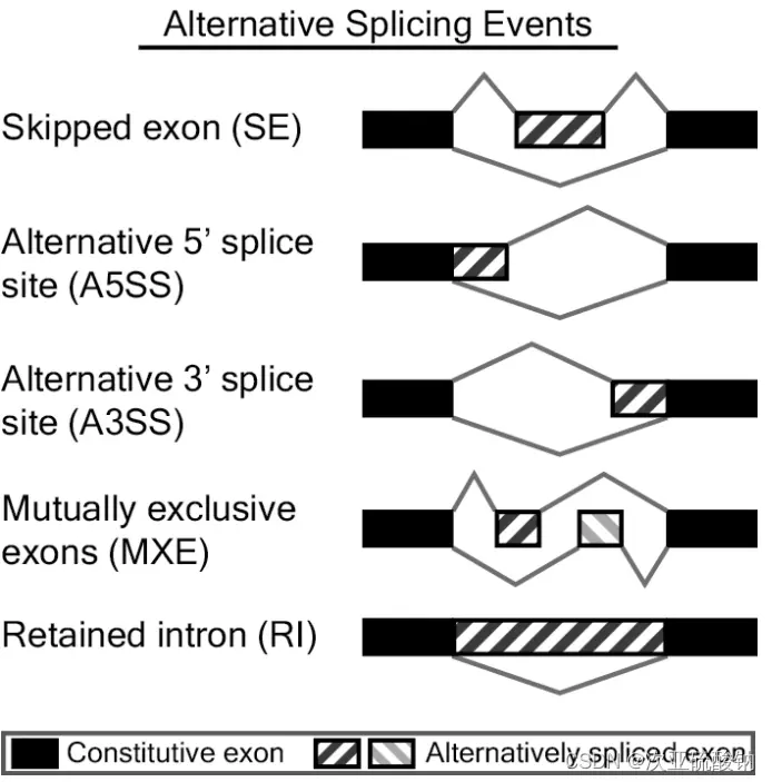 5种rMATs识别的可变剪接事件.png