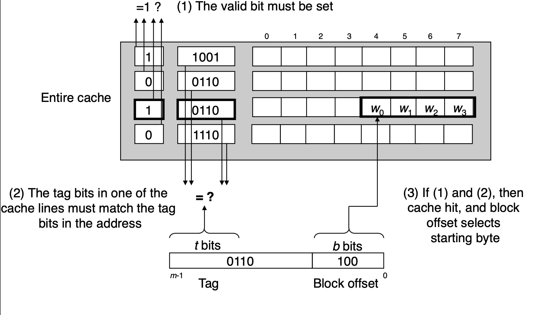 Line matching and word selection in a fully associative cache