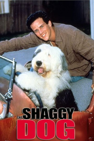 the-shaggy-dog-1121054-1
