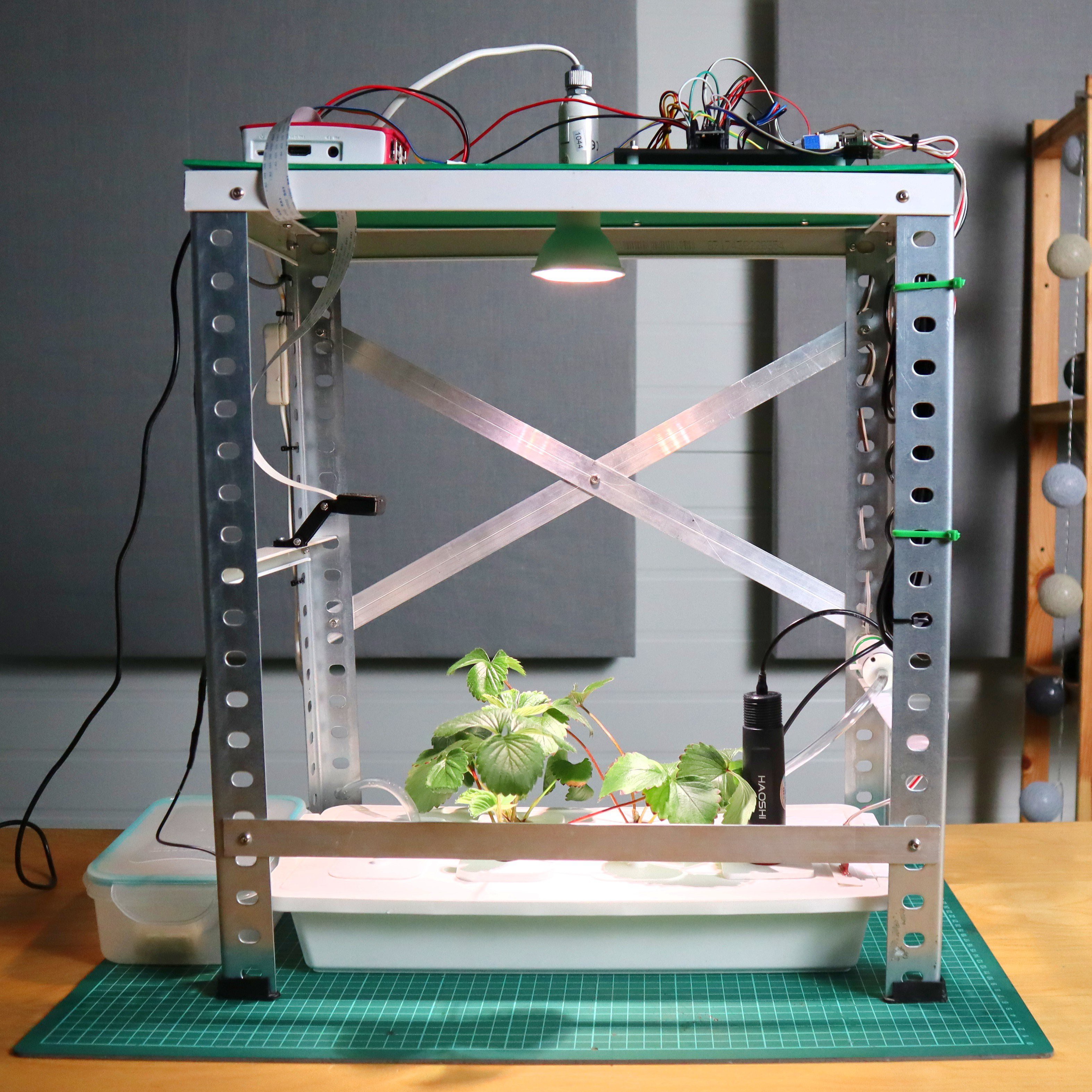 Hydroponic System