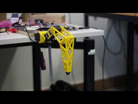 Hexapod Botolomaeus Video