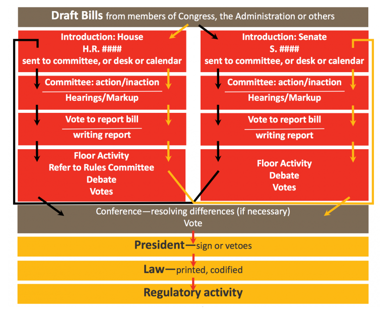 Legislative Process Example