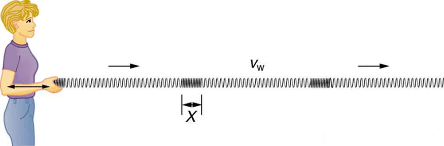 longitudinal waves