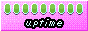 Uptime 88x31 badge