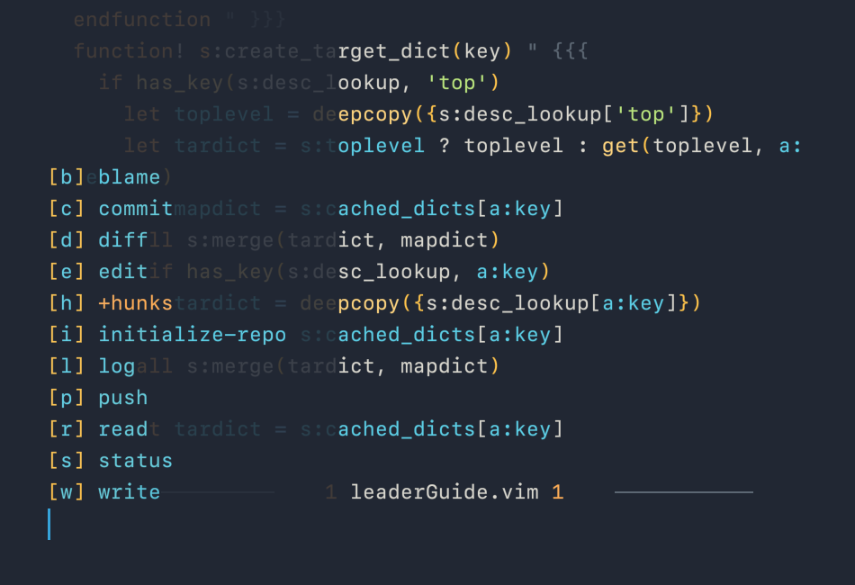 vimleaderguide3