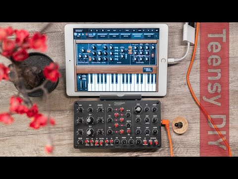 Teensy DIY Midi Controller Jam - Moog Model D App, Fugue Machine