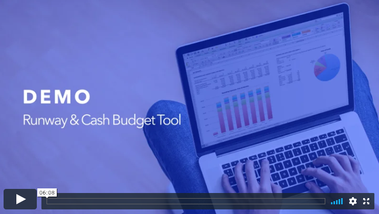 Demo of runway and cash budget forecast tool