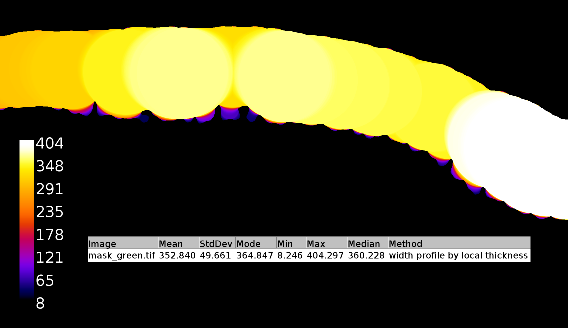 thickness_result.png