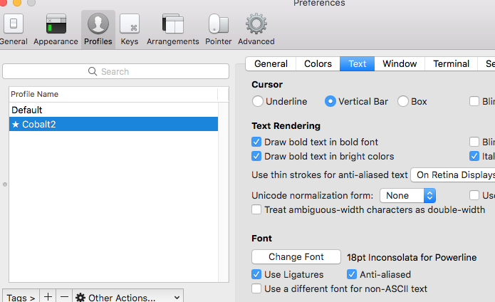 fonts settings iterm