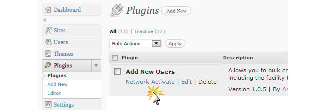 Network activate plugin