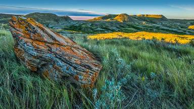 https://cn.bing.com/th?id=OHR.GrasslandsNationalParkSaskachewan_ZH-CN6530285883&w=384&h=216