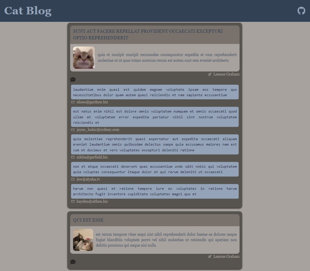 Screenshot Cat Blog