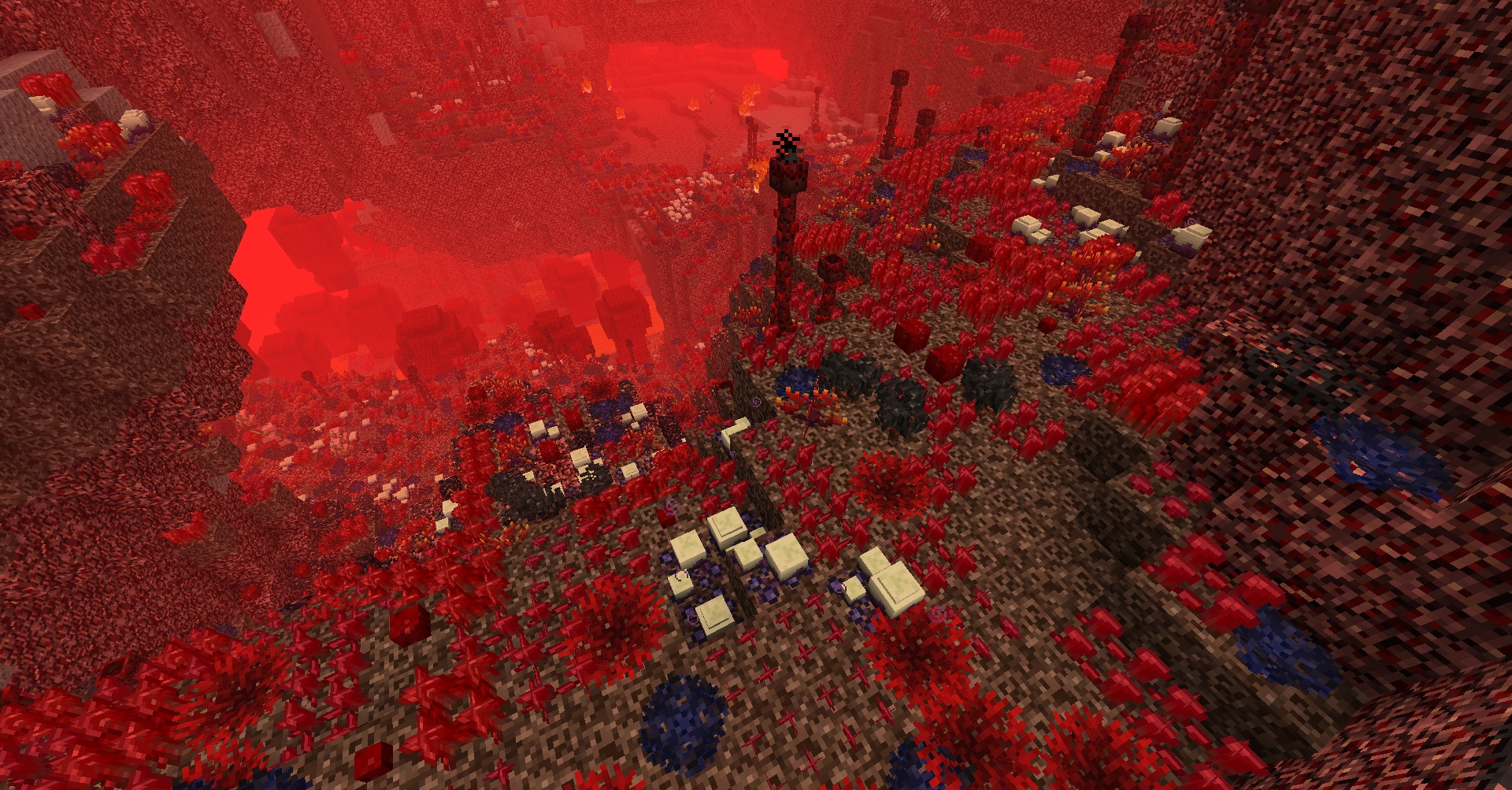 Nether Grasslands