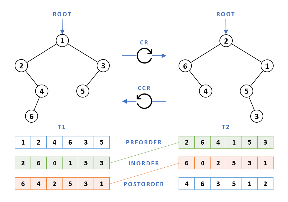 Roll Example